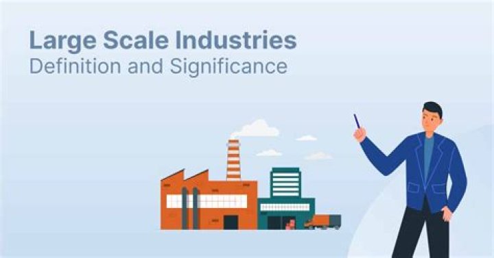 What is the problem of large scale business?