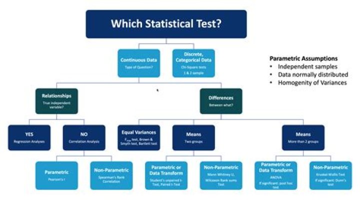 What is the purpose of statistical tests?