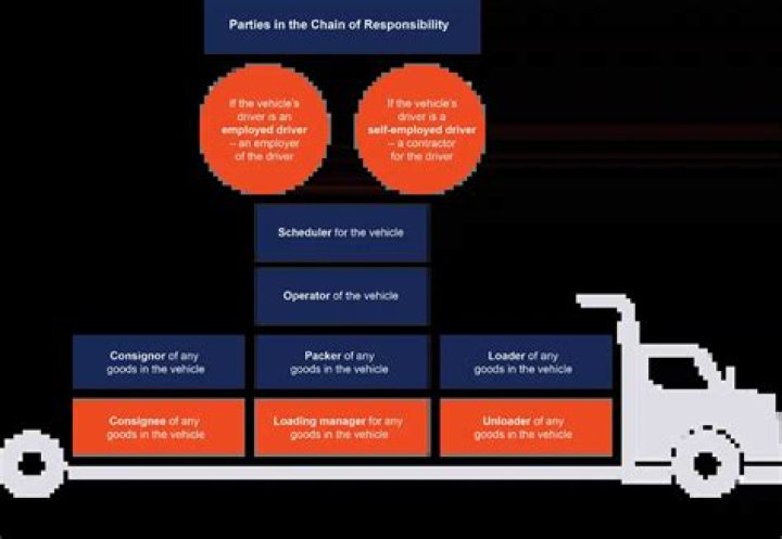 What is the responsibility of sales lady?