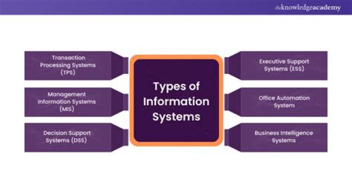 What is the role of information systems in Organisations?
