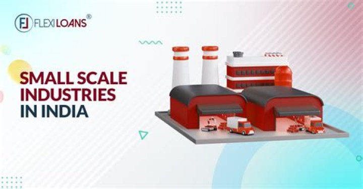 What is the role of small scale industry in Pakistan economy?