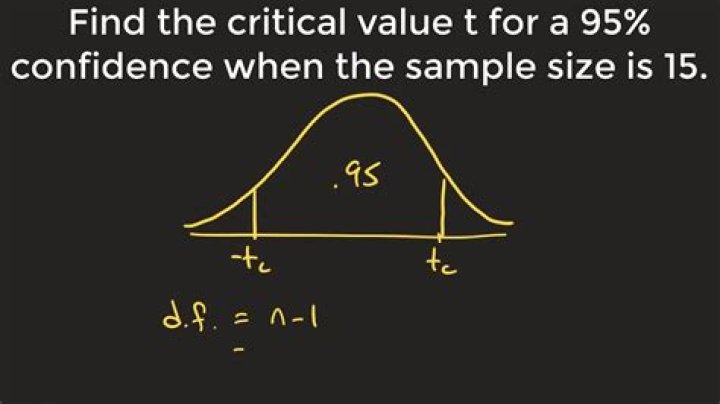 What is the T critical value for a 95 confidence interval?