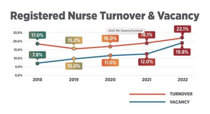 What is the turnover rate for veterinary?