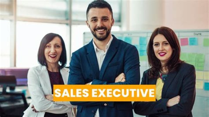 What is the work of a sales executive?