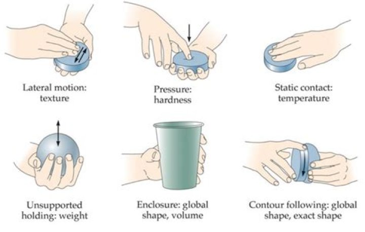 What is touch perception?