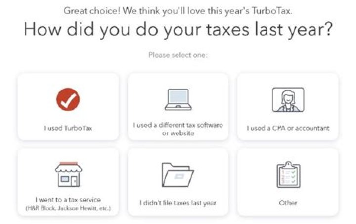 What is TurboTax document number?