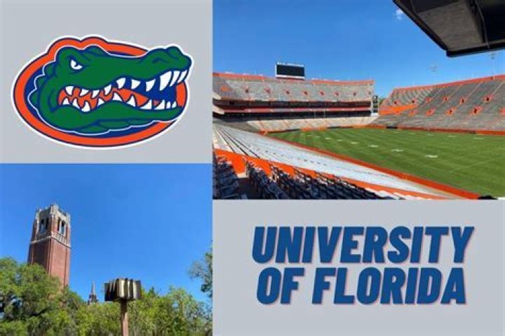 What is University of Florida known for?