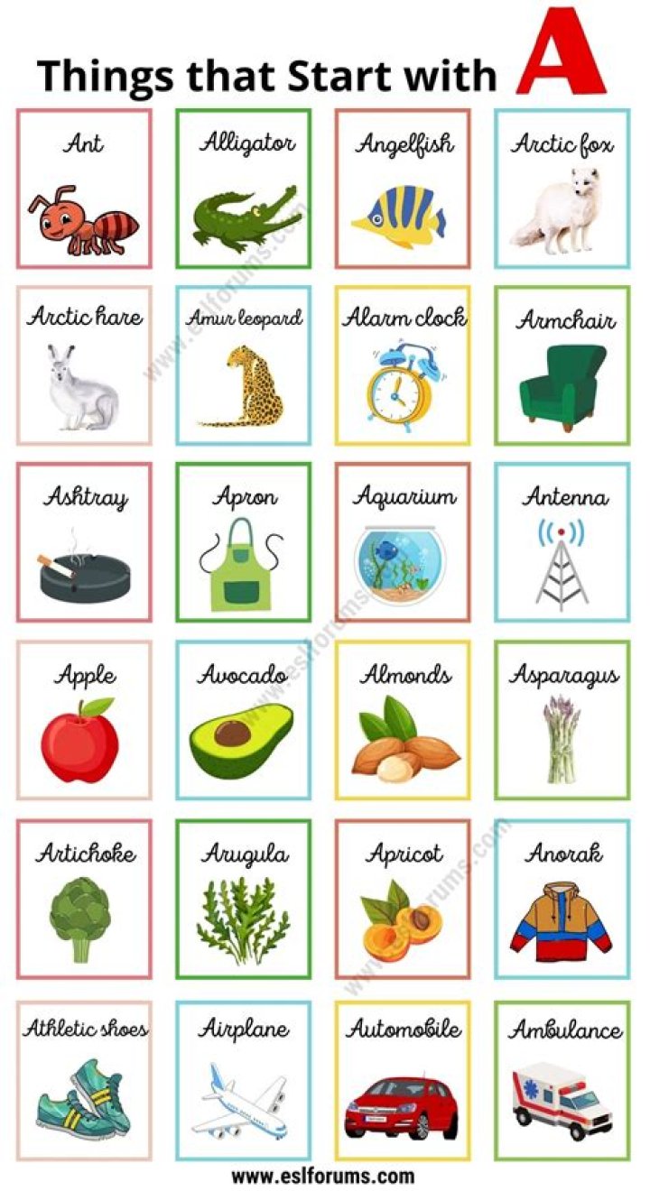 What item starts with the letter A?