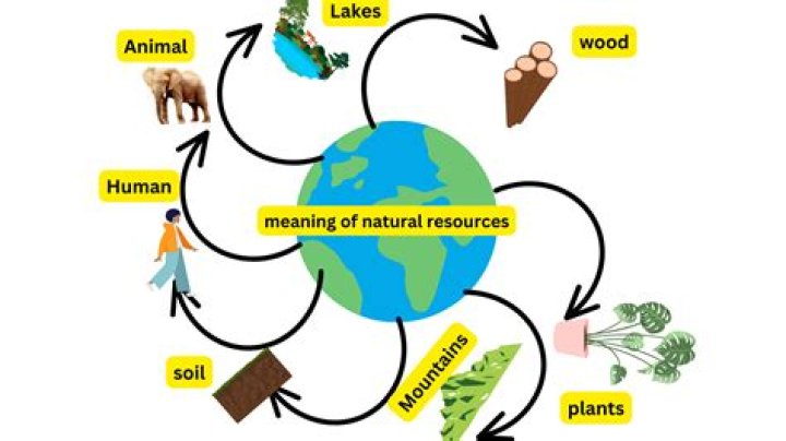 What natural resources are in gum?