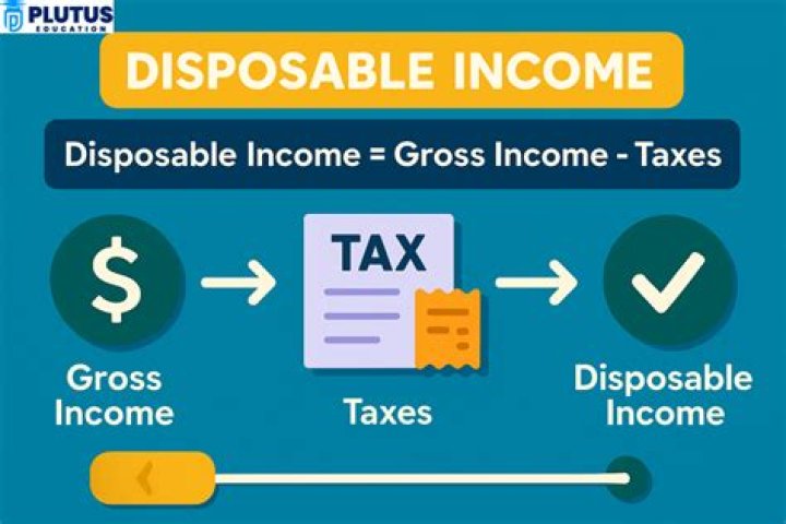 What qualifies disposable income?