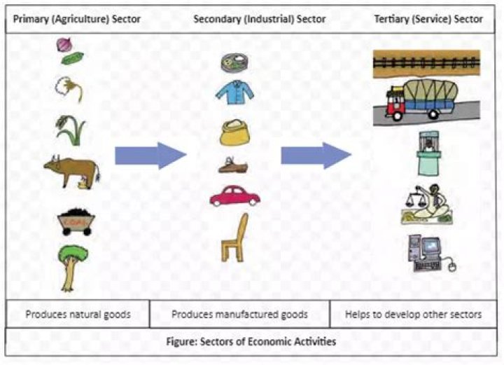 What sector is Celanese?