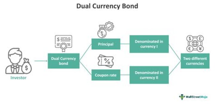 What should a borrower consider before issuing dual currency bonds?