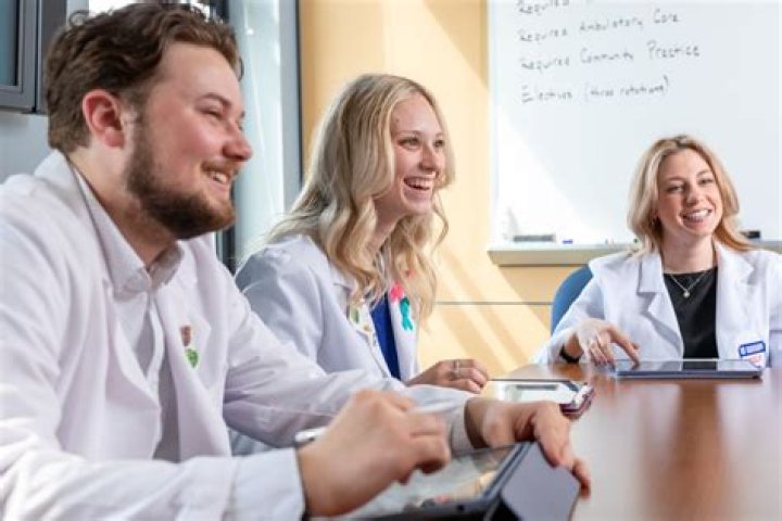 What should I major in if I want to go to pharmacy school?