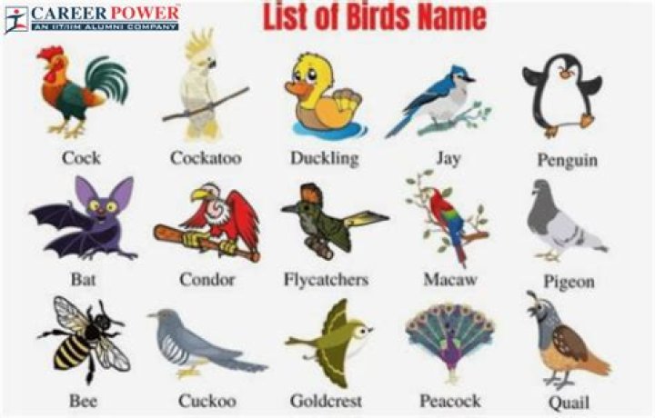 What should I name my translation business?