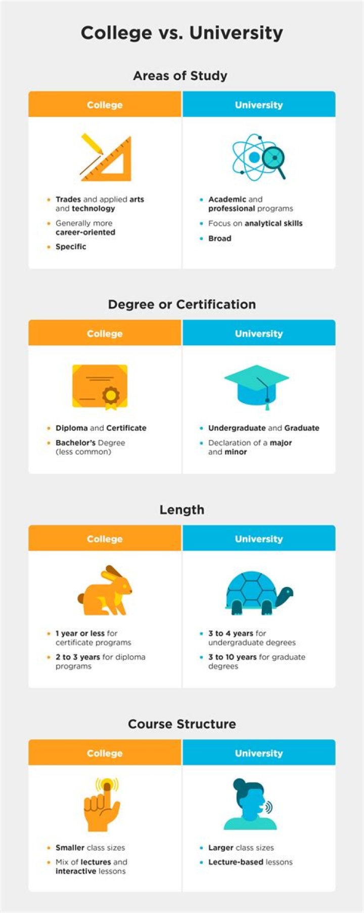 What should I study in college for marketing?