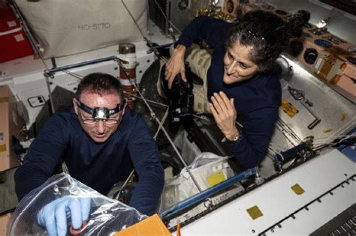 What skills do astronauts need in space?