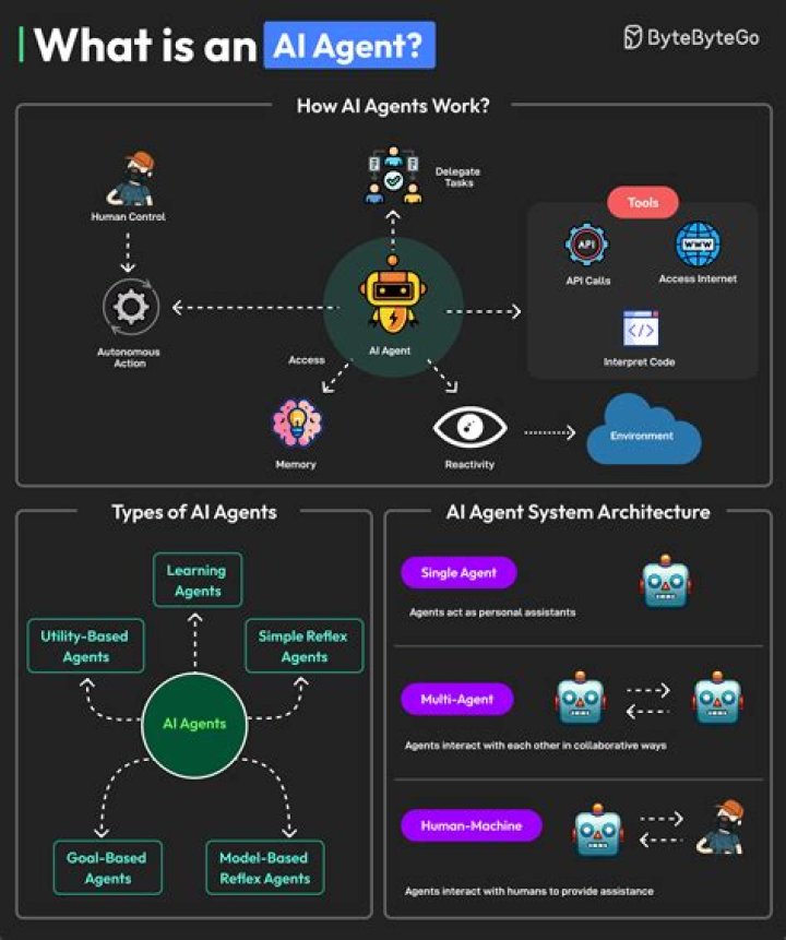 What skills should an agent have?