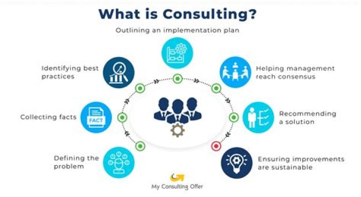 What software do consulting firms use?