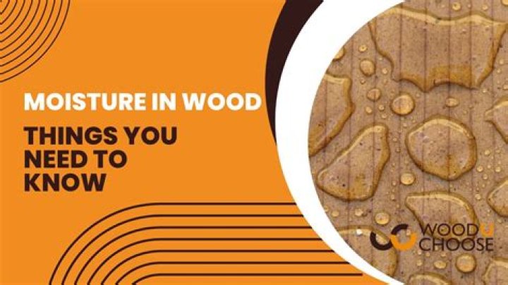 What takes moisture out of your house?