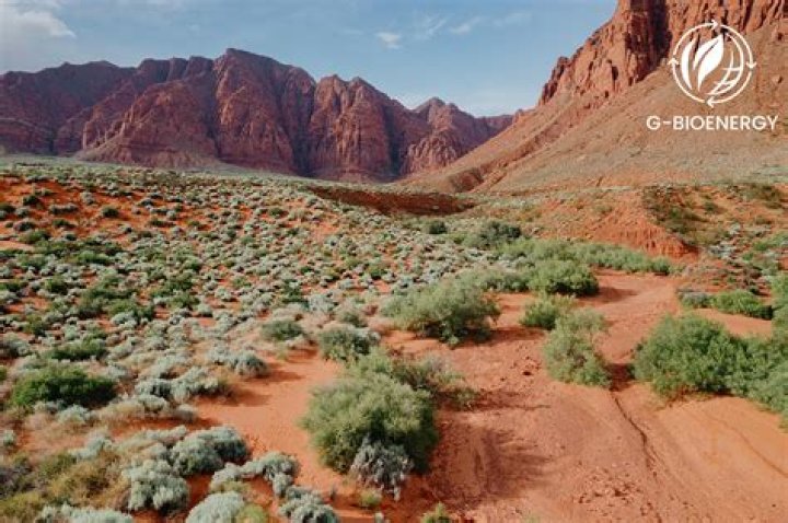 What type of climate is in Arizona?