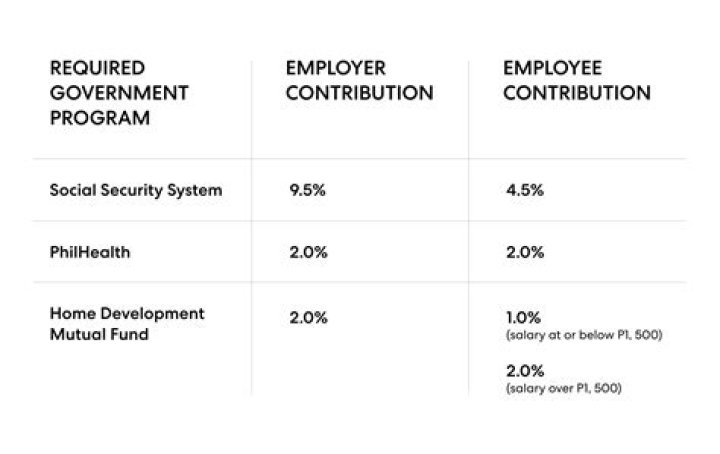 What type of retirement plan do government employees get?