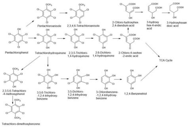 When a persons home is his or her castle This concept is referred to as the?
