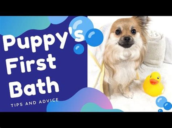 When can I wash my puppy for the first time?