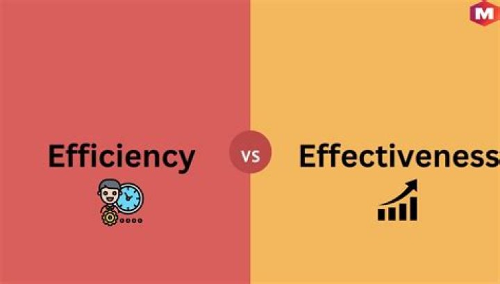 Which is more important in business effectiveness or efficiency?
