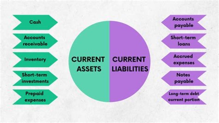 Which is the excess of current assets over current liabilities?