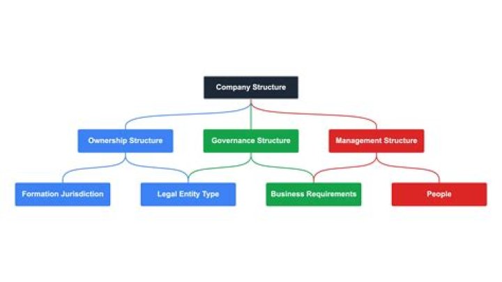 Which is the most complex business entity structure?