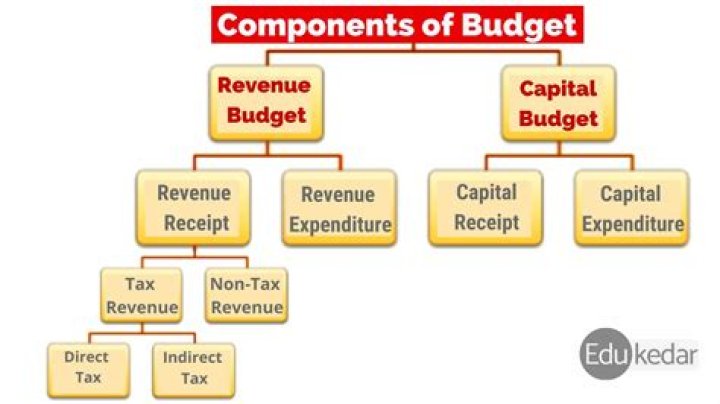 Which one is the most important function of cash budget?