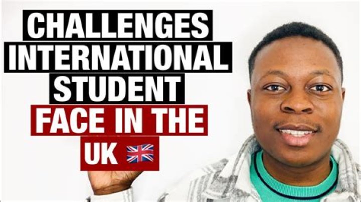 Which problems do the international students face?