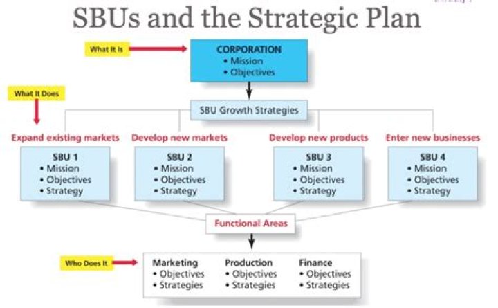 Which strategy is applicable in SBU?