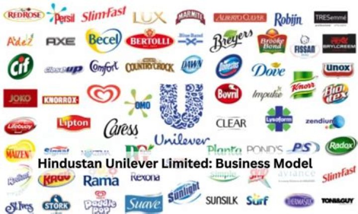 Which type of industry is Hindustan Unilever?