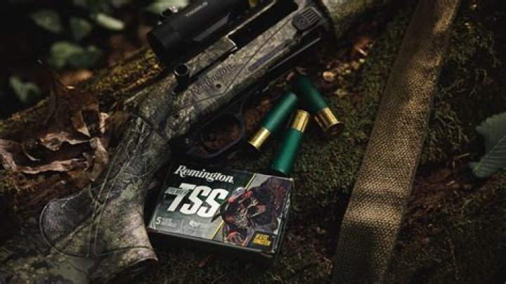 Who bought Remington Arms in 2020?