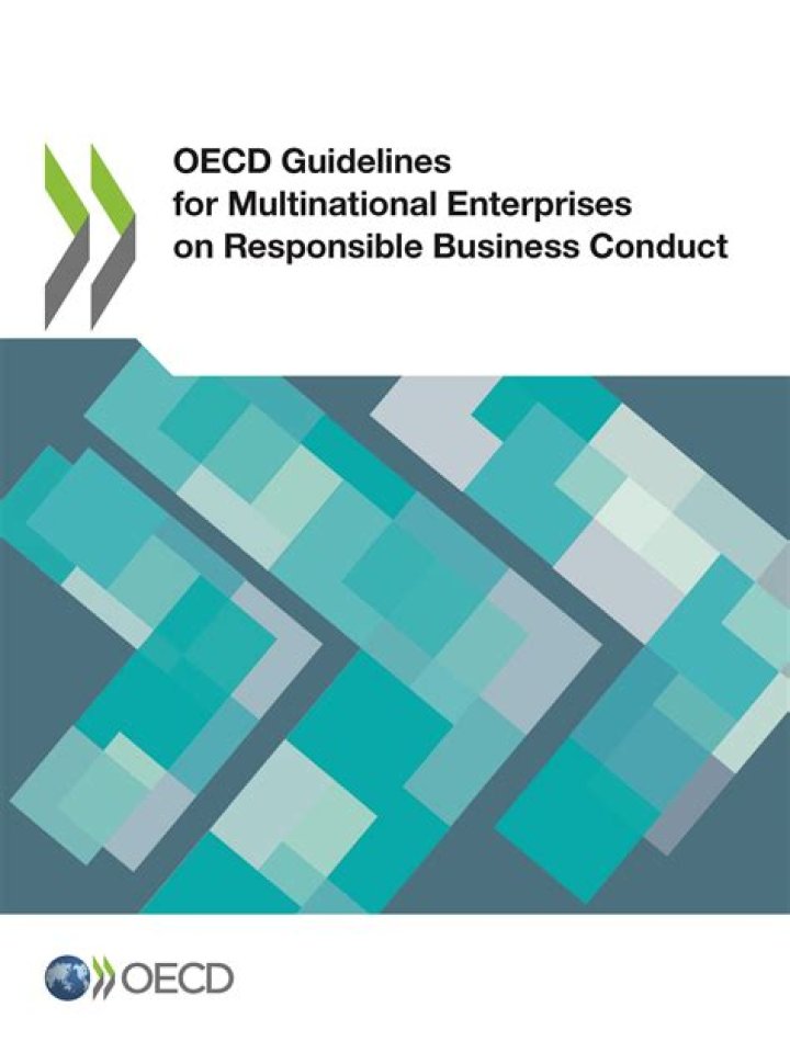 Who do the OECD Guidelines apply to?