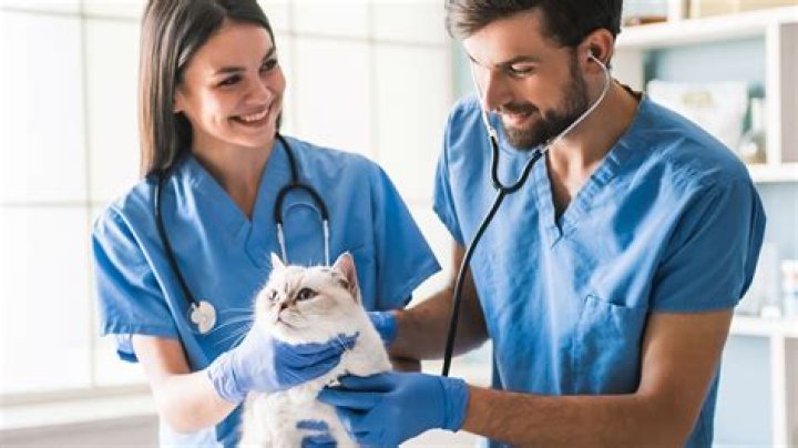 Who earns more a pharmacist or a veterinarian?