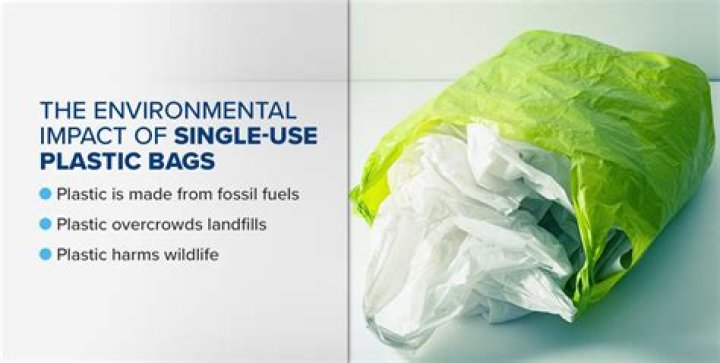 Who invented plastic bags and why?