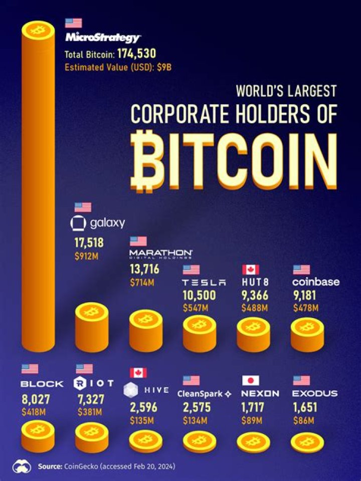 Who invested most in bitcoin?