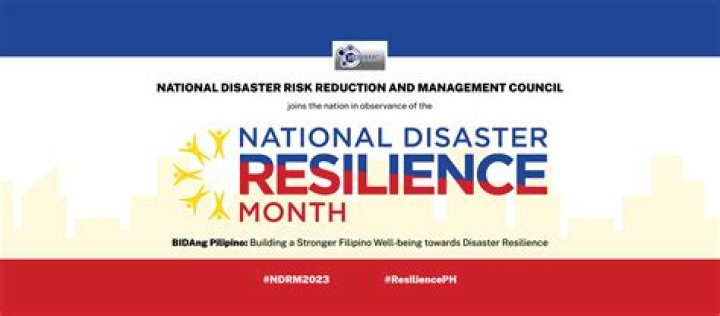 Who is responsible for national disaster and emergency declarations?