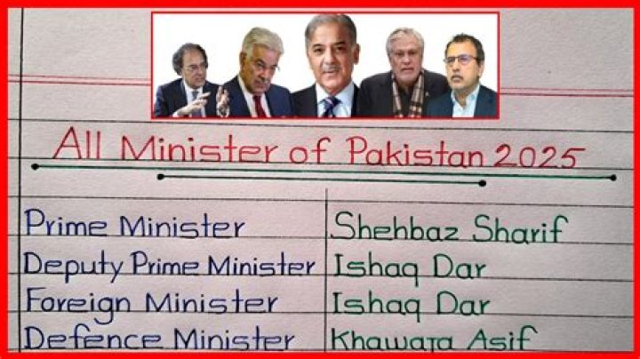 Who is the federal education Minister of Pakistan 2020?