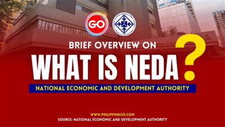 Who is the head of NEDA Secretariat?