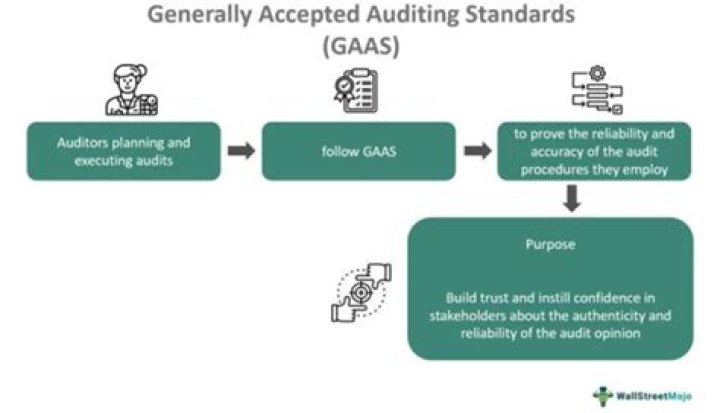 WHO issues generally accepted auditing?