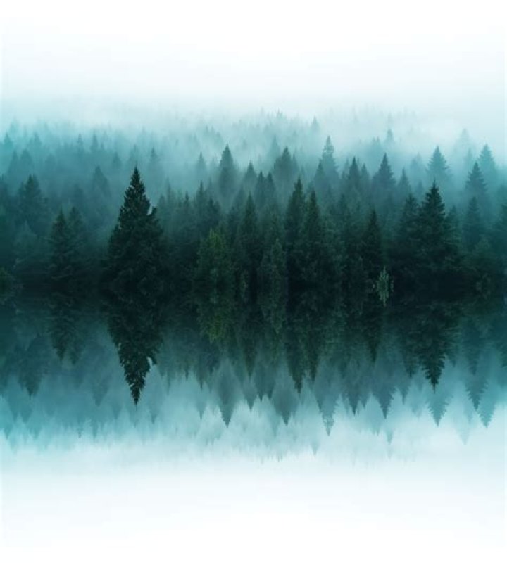 Who owns Forest Labs?