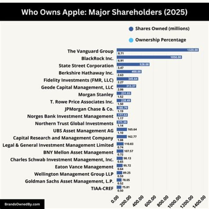 Who owns outstanding shares?