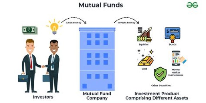 Who owns the mutual fund?