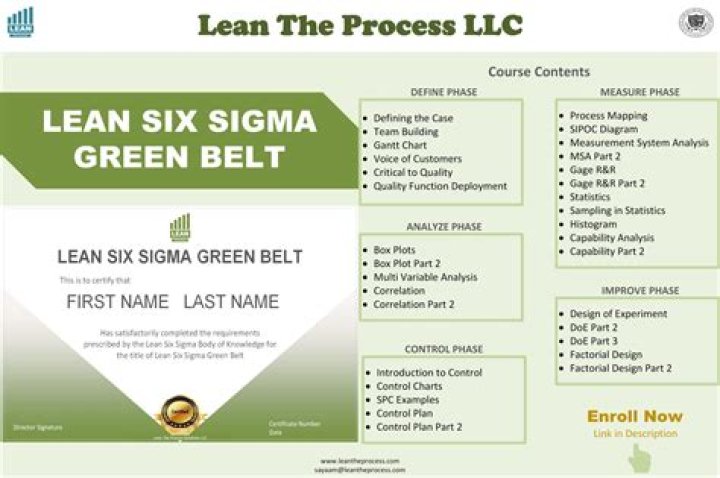 Who should take Lean Six Sigma Greenbelt?