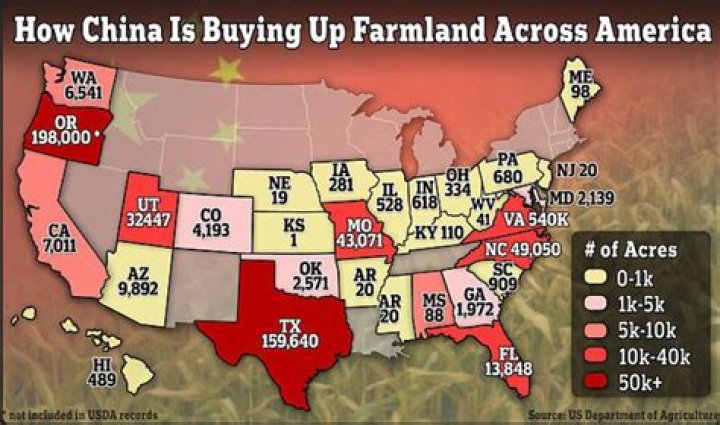 Why are millionaires buying farmland?
