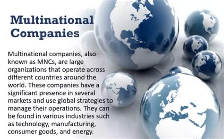Why I want to work in a multinational company?