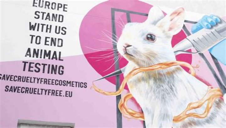 Why is cosmetic animal testing cruel?